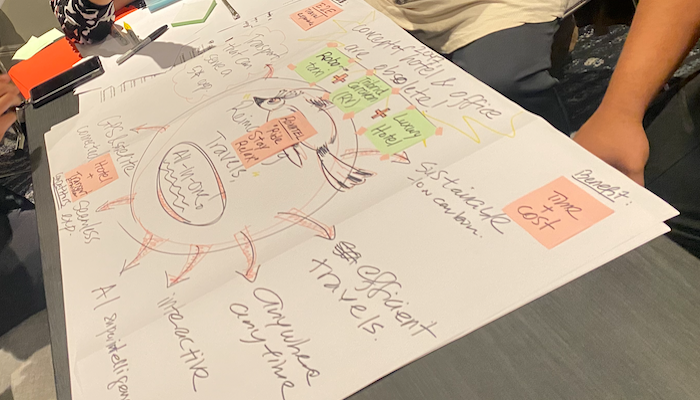 Team Development Workshops New Zealand